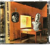 G E Stinson Group - A Thousand Other Names