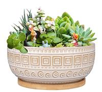 G EPGardening 8 Inch Ceramic Succulent Planter Pots for Indoor Plants Round Shallow Bonsai Planter Pot with Drainage and Bamboo Saucer White