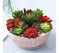 G EPGardening 25.5CM Large Planter Pot Marble Pattern Ceramic Succulent Planter Big Plant Pot Succulents Container Flower Pot Indoor Outdoor Decor Pink