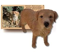 G&H Decor Garden Ornaments Outdoor - Intricate Golden Retriever Gifts - Durable Resin Garden Ornaments - Hand-Painted, Water & UV Resistant, 27cm x 22cm x 11cm - British Design Dog Statue