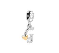 G Name Alphabet Letter Initial Love Heart Pendant Clear CZ Charm Compatible with Pandora Charms Bracelets Jewellery Women Mom Sister