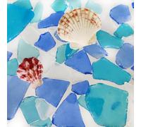 G&S homedeko White Seablue Dark Blue Sea Glass 10oz Bulk Mix with 2 Pieces Seashells - Genuine Beach Tumbled Glass Pieces for Crafts, Vase Filler, Coastal Home Decor, DIY Projects,Gift Filling