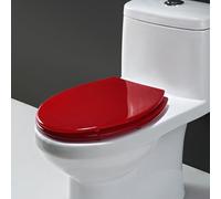 G,Soft Close Toilet Seat, Quiet and Slow Close Toilet Lid and Seat, Transparent Glitter Toilet Seats with Stainless Steel Hinges, Easy to Install and Clean, Resin, Round, 42x36cm/16.5x14.2in (B)