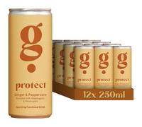 G Spot Protect, Meadowsweet & Ginger, Pack of 12x250ml, Sparkling Soft Drink Boosted with Ginger, Turmeric, Peppercorn and Chaga, Low Calorie, Vegan, Caffeine Free, Natural Flavours