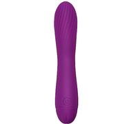G-Spot Vibrator Realistic Dildo for Women Small Vibrating Clitoris Nipple Vagina Massagers Soft Silicone Waterproof Adult Sex Toys(Purple)