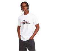 G-Star Men's Summit Graphic T-Shirt, White (white D25158-C812-110), XXL