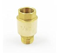 G thread brass check valve for irrigation and For water supply pipelines with a vertical lift disc for effective backflow prevention and seamless integration with threaded unions (1/2-110g inner)