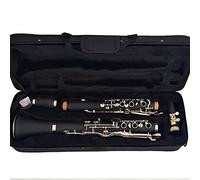 G Tune 20 Keys Clarinet ABS Resin Boy Material Nickel Plated Keys E9 Beginner Clarinet