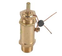 G1/4 Air Compressor Safety Release Pressure Valve Automatic Overpressure Protection with Full Discharge for Steam Boiler Generator Electric Boiler Coal Fired Boiler 47g Standard