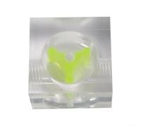 G1/4 Compatible Water Cooling Indicator Made of Acrylic to Provide Accurate Measurements of Fluid Dynamics (C)