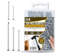 G4GADGET 250-Piece Assorted Flat Head Nails - Premium Zinc Coated, 5 Distinct Sizes for Home Repairs, DIY Projects, Woodworking & Crafts - Includes Organized Storage Box