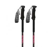 Gabel Escape Carbon Tour Lite Ai Poles Silver 59-131 cm Men,Women