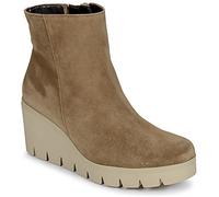 Gabor Low Ankle Boots 74780 in Brown 2.5