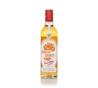 Gabriel Boudier Apricot Brandy (Bartender Range) 50cl Liqueurs