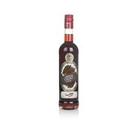 Gabriel Boudier Creme De Cacao Brown (Bartender Range) 50cl 50cl 25%