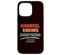 Gabriel Knows Everything Case for iPhone 14 Pro Max