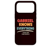 Gabriel Knows Everything Case for iPhone 17 Pro Max