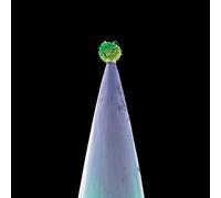 GABRIEL PETER-NEW BLOOD