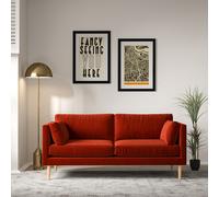 Gabriela Modern Velvet 3 Seater Feather Sofa with Light Wood Legs Flame
