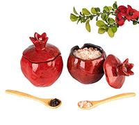 GABROC YU&CH Rustic Red Pomegranate Shaped Salt Cellar 2 Pack 9 Fluid Ounces Ceramic Porcelain Salt Pig with Lid Spoon