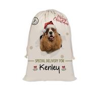 GABSHAIM Christmas Santa Sack with American Cocker Spaniel Dog Custom Name Large Cotton Linen Santa Bag Special Delivery for Family Friend Xmas Decor 12 x 15 Inch