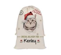 GABSHAIM Christmas Santa Sack with American Shorthair Cat Custom Name Large Cotton Linen Santa Bag Special Delivery for Family Friend Xmas Decor 12 x 15 Inch Style 2