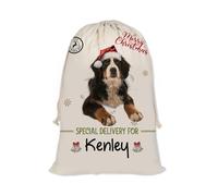 GABSHAIM Christmas Santa Sack with Bernese Mountain Dog Custom Name Large Cotton Linen Santa Bag Special Delivery for Family Friend Xmas Decor 12 x 15 Inch Style 1