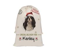 GABSHAIM Christmas Santa Sack with Cavalier King Charles Spaniel Dog Custom Name Large Cotton Linen Santa Bag Special Delivery for Family Friend Xmas Decor 12 x 15 Inch