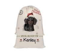 GABSHAIM Christmas Santa Sack with Dachshund Dog Custom Name Large Cotton Linen Santa Bag Special Delivery for Family Friend Xmas Decor 19.5 x 27.5 Inch Style 3