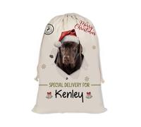 GABSHAIM Christmas Santa Sack with Labrador Dog Custom Name Large Cotton Linen Santa Bag Special Delivery for Family Friend Xmas Decor 12 x 15 Inch Style 2