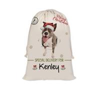GABSHAIM Christmas Santa Sack with Pitbull Dog Custom Name Large Cotton Linen Santa Bag Special Delivery for Family Friend Xmas Decor 12 x 15 Inch Style 1