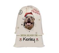GABSHAIM Christmas Santa Sack with Pitbull Dog Custom Name Large Cotton Linen Santa Bag Special Delivery for Family Friend Xmas Decor 12 x 15 Inch Style 8