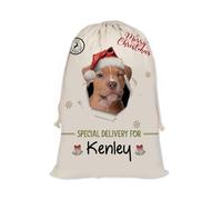 GABSHAIM Christmas Santa Sack with Puppy American Staffordshire Terrier Dog Custom Name Large Cotton Linen Santa Bag Special Delivery for Family Friend Xmas Decor 19.5 x 27.5 Inch Style 1