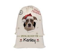 GABSHAIM Christmas Santa Sack with Puppy American Staffordshire Terrier Dog Custom Name Large Cotton Linen Santa Bag Special Delivery for Family Friend Xmas Decor 19.5 x 27.5 Inch Style 2