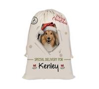 GABSHAIM Christmas Santa Sack with Shetland Sheepdog Dog Custom Name Large Cotton Linen Santa Bag Special Delivery for Family Friend Xmas Decor 12 x 15 Inch Style 4