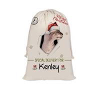 GABSHAIM Christmas Santa Sack with Sphynx Cat Custom Name Large Cotton Linen Santa Bag Special Delivery for Family Friend Xmas Decor 12 x 15 Inch Style 1