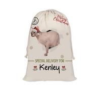 GABSHAIM Christmas Santa Sack with Sphynx Cat Custom Name Large Cotton Linen Santa Bag Special Delivery for Family Friend Xmas Decor 19.5 x 27.5 Inch Style 2