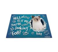 GABSHAIM Custom Cat Doormat Hello is It Me You're Looking for British Shorthaired Bone Paws Non-Slip Floor Mat Front Door Entryway Decorative Rug 17.7 x 27.5 Inch Style 3