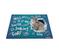 GABSHAIM Custom Cat Doormat Hello is It Me You're Looking for Scottish Fold Bone Paws Non-Slip Floor Mat Front Door Entryway Decorative Rug 15.7 x 23.6 Inch