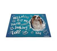 GABSHAIM Custom Dog Doormat Hello is It Me You're Looking for Cavalier King Charles Spaniel Bone Paws Floor Mat Front Door Entryway Decorative Rug 15.7 x 23.6 Inch Style 2