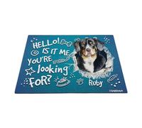 GABSHAIM Custom Dog Doormat Mountain Dog Bone Paws Floor Mat Hello is It Me You're Looking for Front Door Entryway Decorative Rug 23.6 x 35.4 Inch Style 3