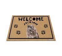 GABSHAIM Personalized Cat Doormat Domestic Short Haired Welcome Floor Mat for Front Door Entryway Indoor Outdoor Decoration 17.7 x 27.5 Inch