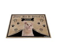 GABSHAIM Personalized Cat Doormat Visitors Must Be Approved by British Shorthaired Cat Floor Mat Cartoon Paws Bone for Entrance Indoor Outdoor Home Decor 23.6 x 35.4 Inch Style 1