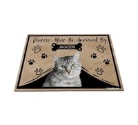 GABSHAIM Personalized Cat Doormat Visitors Must Be Approved by Cat Floor Mat Cartoon Paws Bone for Entrance Indoor Outdoor Home Decor 17.7 x 27.5 Inch Style 2