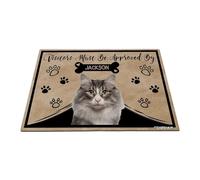 GABSHAIM Personalized Cat Doormat Visitors Must Be Approved by Norway Forest Cat Floor Mat Cartoon Paws Bone for Entrance Indoor Outdoor Home Decor 15.7 x 23.6 Inch