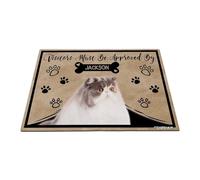 GABSHAIM Personalized Cat Doormat Visitors Must Be Approved by Persian Cat Floor Mat Cartoon Paws Bone for Entrance Indoor Outdoor Home Decor 17.7 x 27.5 Inch Style 3