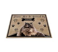 GABSHAIM Personalized Cat Doormat Visitors Must Be Approved by Persian Cat Floor Mat Cartoon Paws Bone for Entrance Indoor Outdoor Home Decor 17.7 x 27.5 Inch Style 1