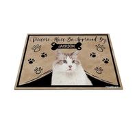 GABSHAIM Personalized Cat Doormat Visitors Must Be Approved by Ragdoll Cat Floor Mat Cartoon Paws Bone for Entrance Indoor Outdoor Home Decor 15.7 x 23.6 Inch