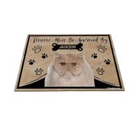 GABSHAIM Personalized Cat Doormat Visitors Must Be Approved by Shorthair Persian Cat Floor Mat Cartoon Paws Bone for Entrance Indoor Outdoor Home Decor 17.7 x 27.5 Inch