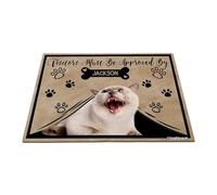 GABSHAIM Personalized Cat Doormat Visitors Must Be Approved by Siamese Cat Floor Mat Cartoon Paws Bone for Entrance Indoor Outdoor Home Decor 23.6 x 35.4 Inch